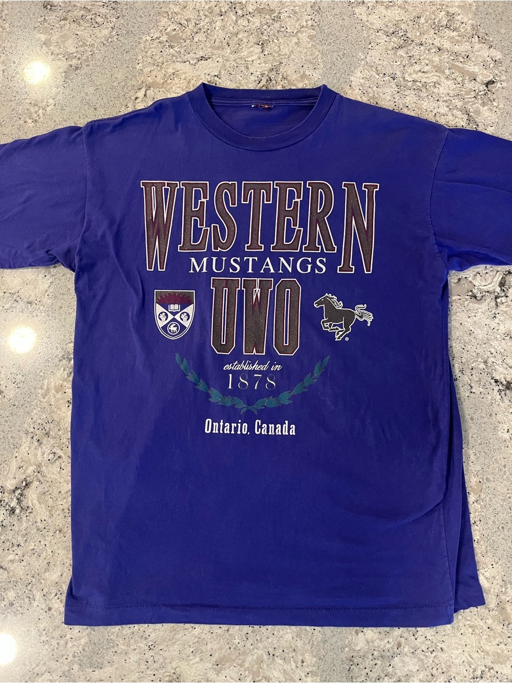 Vintage 90s University of Western Mustangs Tee